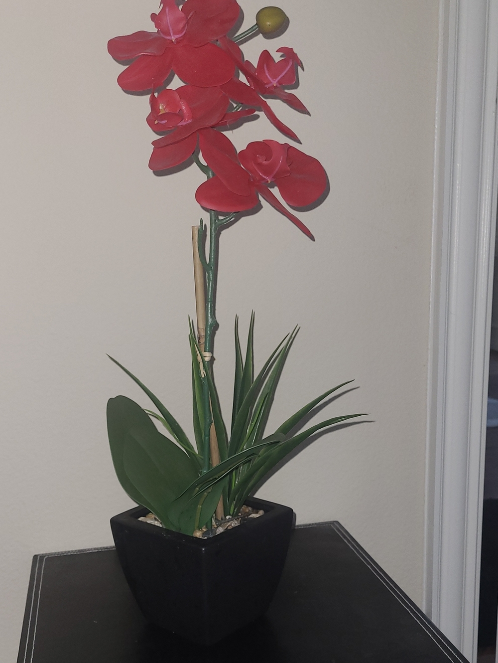 Red Artificial Orchid Plant in Black Pot - Home Accents